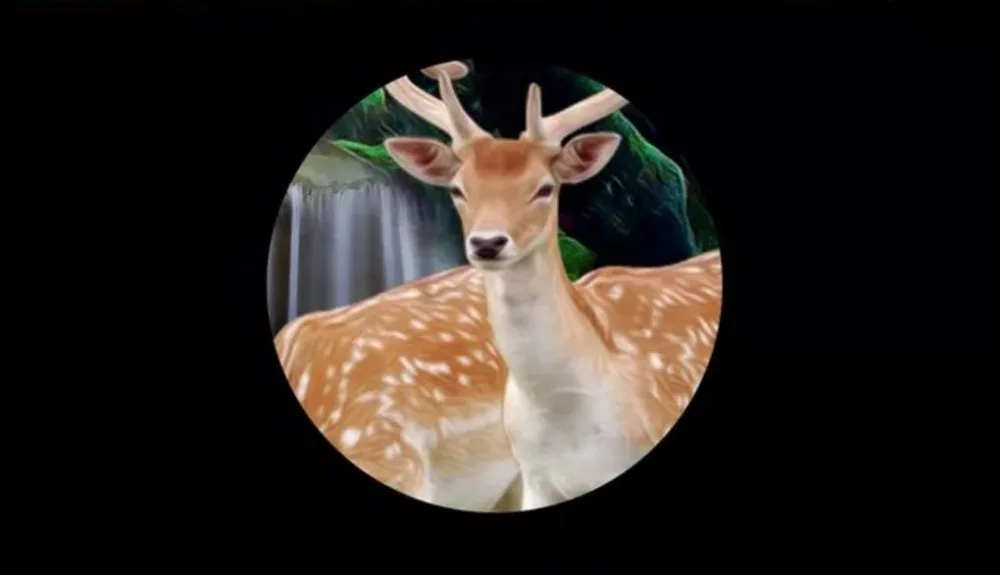 185