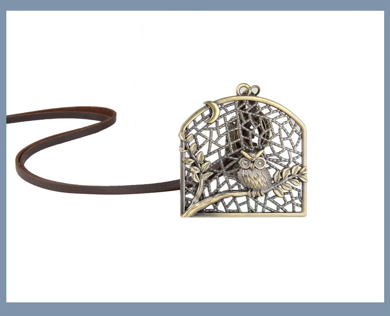 NIUYITID Vintage Bird Cage Owl Necklace & Pendant Men Long Leather Rope Neckless Creative Beautiful Jewelry Cadena Hombre (14)