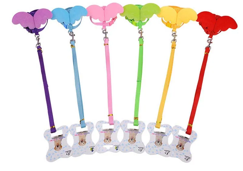 SYDZSW Nylon Pet Leash Cute Angel Wing Small Dog Lead Cat Harness for Chihuahua Yorkshire Dogs Cats Products Pet Accessories Wholesale3