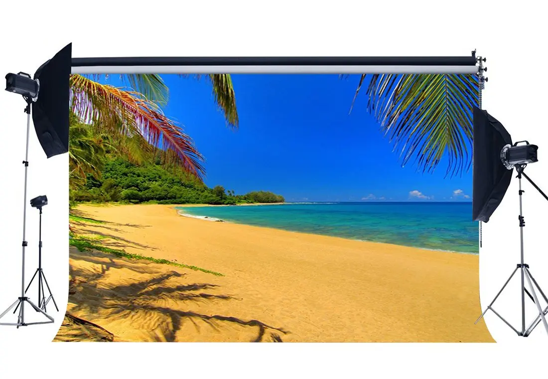 

Seaside Sand Beach Backdrop Coconut Palm Blue Sky White Cloud Nature Romantic Summer Background Lover Wedding