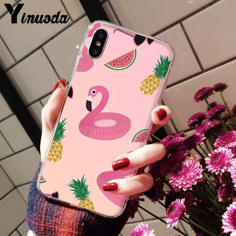Flamingo Cute Animals Birds