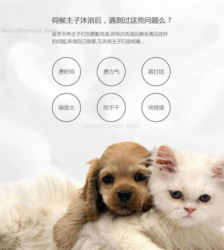 Best Cat pet drying box dog blowing hair artifact hair dryer drying bag dryer large dog water blowing machine 2