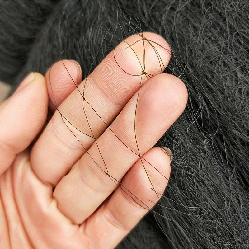 

5pcs Orchard Plant Fruit Agricultural Mesh Black Anti Bird Mist Netting Net Mesh Garden Pest Controll Tool Protect Orchard