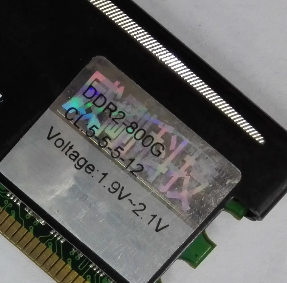 8004