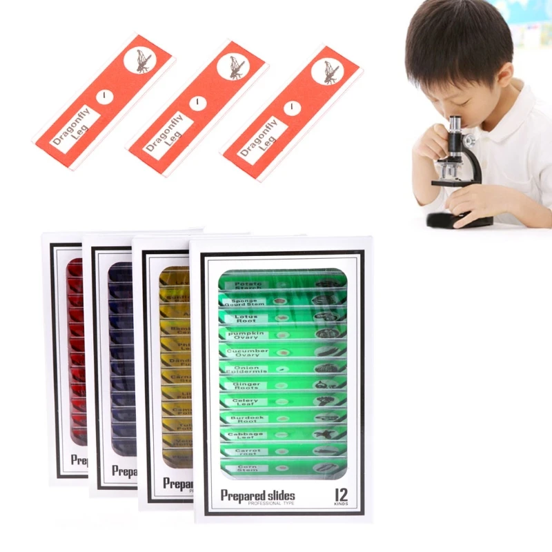 

48Pcs/Set Prepared Microscope Slides Specimen Animals Insects Plants Flowers Sample