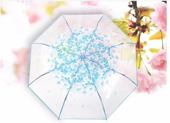 

A clear cherry blossom umbrella with three folds