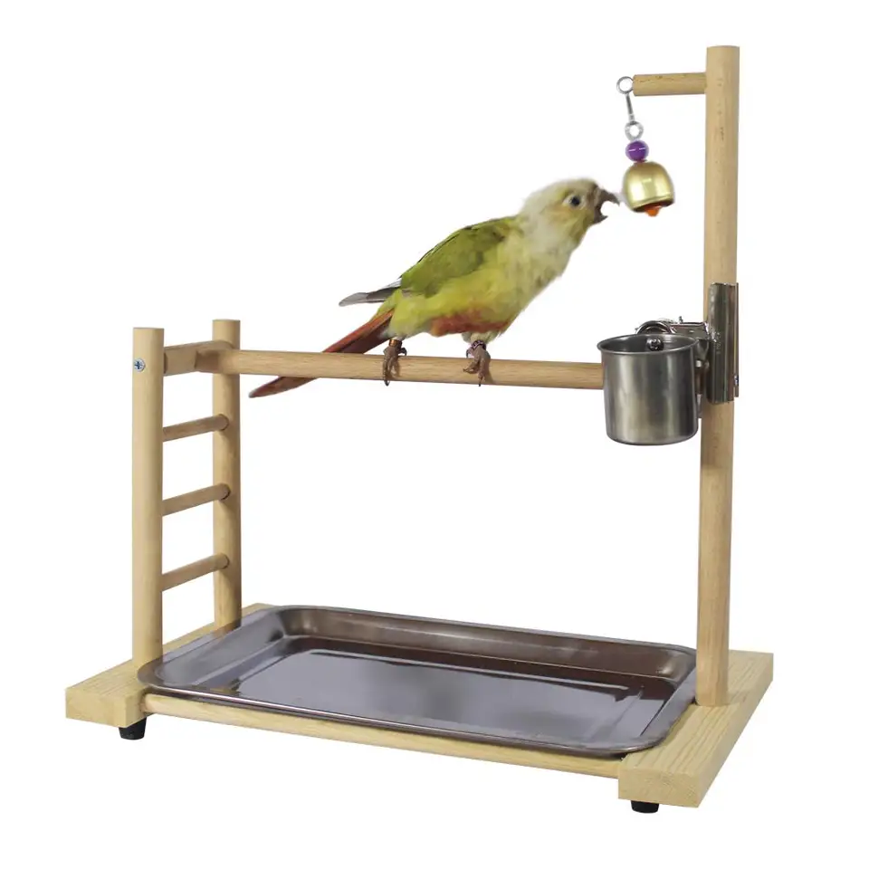 small conure cage