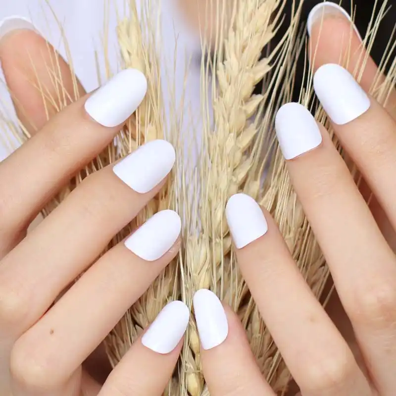 Detail Feedback Questions About 2019 24pcs Hot New Design Beautiful