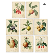 Винтажный рисунок фруктов в акварельном стиле 8 в 1/Настенный декор для растений зеленый Растительный лист без рамы
