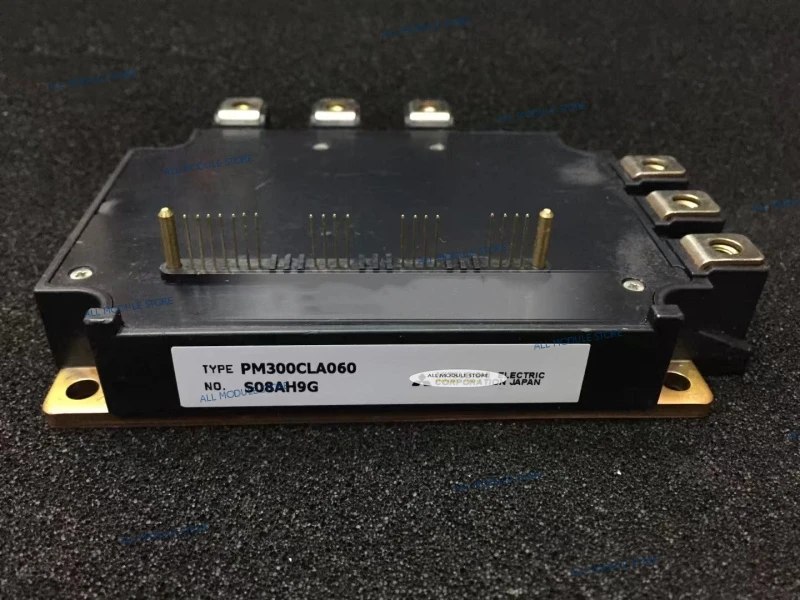 PM300CLA060._