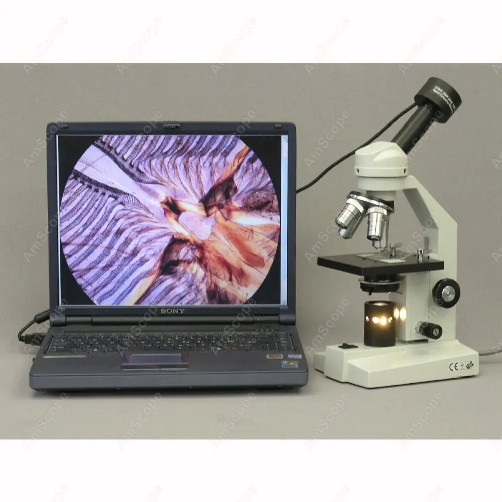 Студенческий составной Микроскоп AmScope Supply 40X 2000X студенческий + 1.3MP USB Цифровая