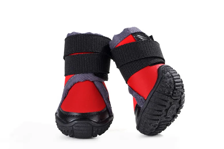 shoes with dog design