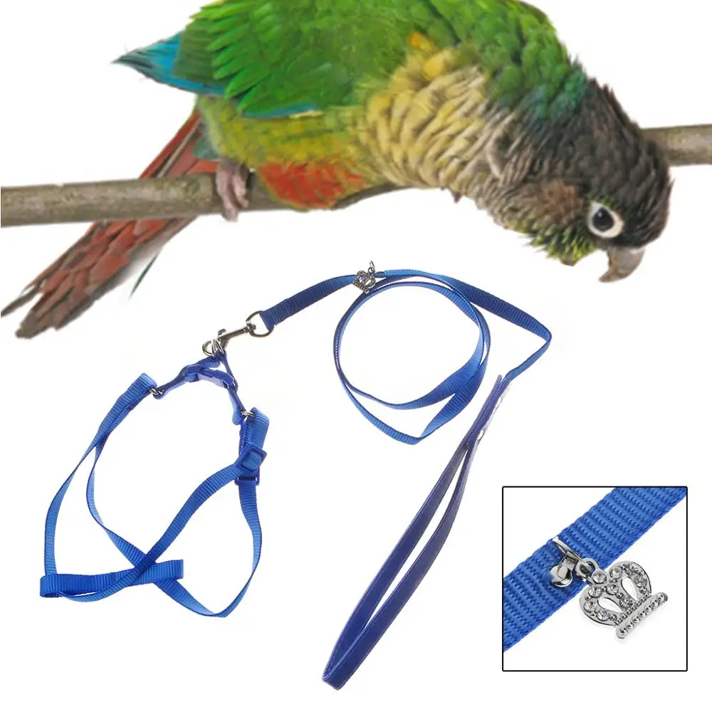 Parrot Bird Leash Harness Training Rope Anti Bite Flying Band Outdoor Adjustable 