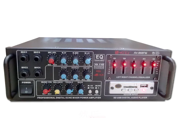 DC12V / AC220V 300W+300W AV 868FM Professional digital