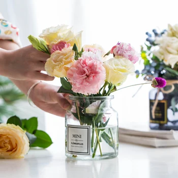 

MDZF SWEETHOME 500ml Nordic Design Glass Vase Transparent Blue Tabletop Plants Vase Flower Vase Pot For Decorative Home