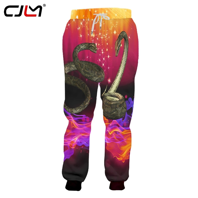 

CJLM 2019 Unisex Hip Hop 3D Printed Service Oringial Starry flame snake Custom Plus Size Sweatpantss Dropshipping