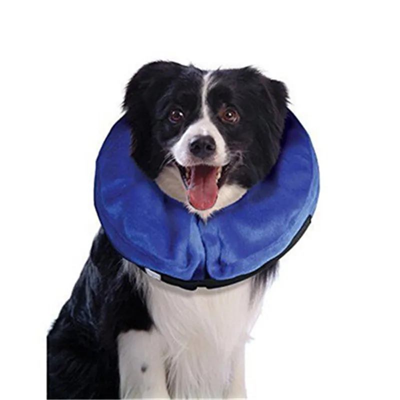 Premium protective Dog collar New For Cats pet Super Toughness