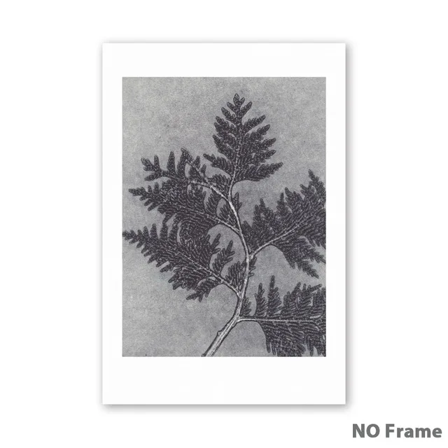 07G-Retro-Plant-Leaf-Specimen-A4-A3-A2-Canvas-Painting-Posters-And-Prints-Home-Art-Pictures.jpg_640x640 (1)