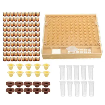 

1Set Beekeeping Queen Rearing Cupkit Box Cell Cups Complete Bee Queen Rearing System Beekeeping Case Set 40