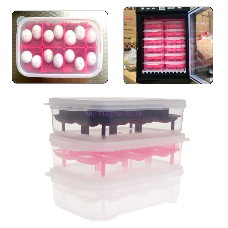 

Reptile Egg Incubator 14 Slots Tray Professional Transparent Plastic Cover Lizard Snake Gecko Eggs Hatcher Hatching Box Case C42