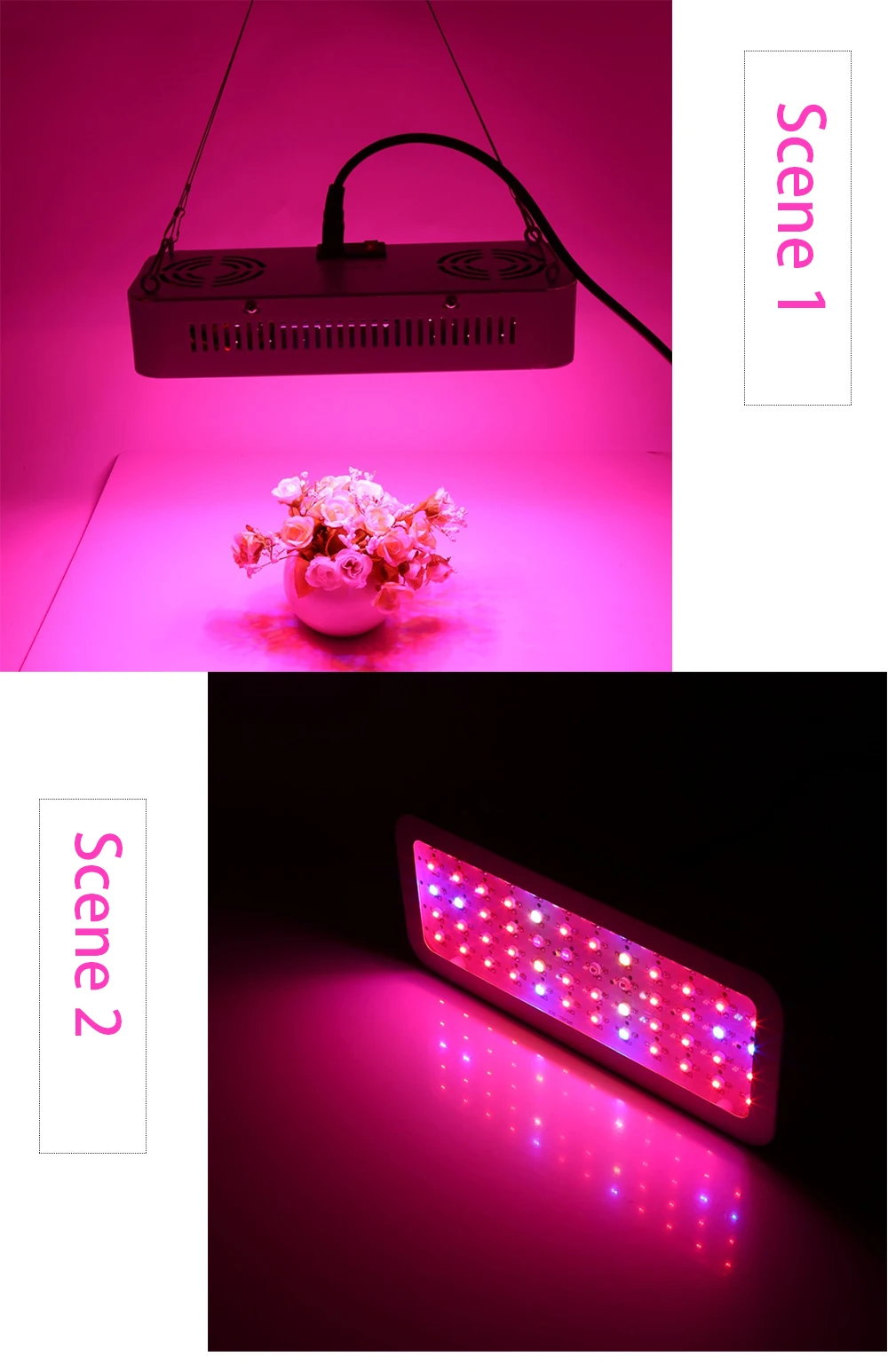 LED grow light  (5)