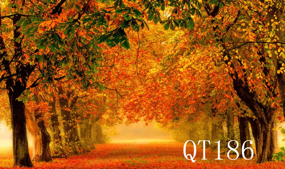 QT186