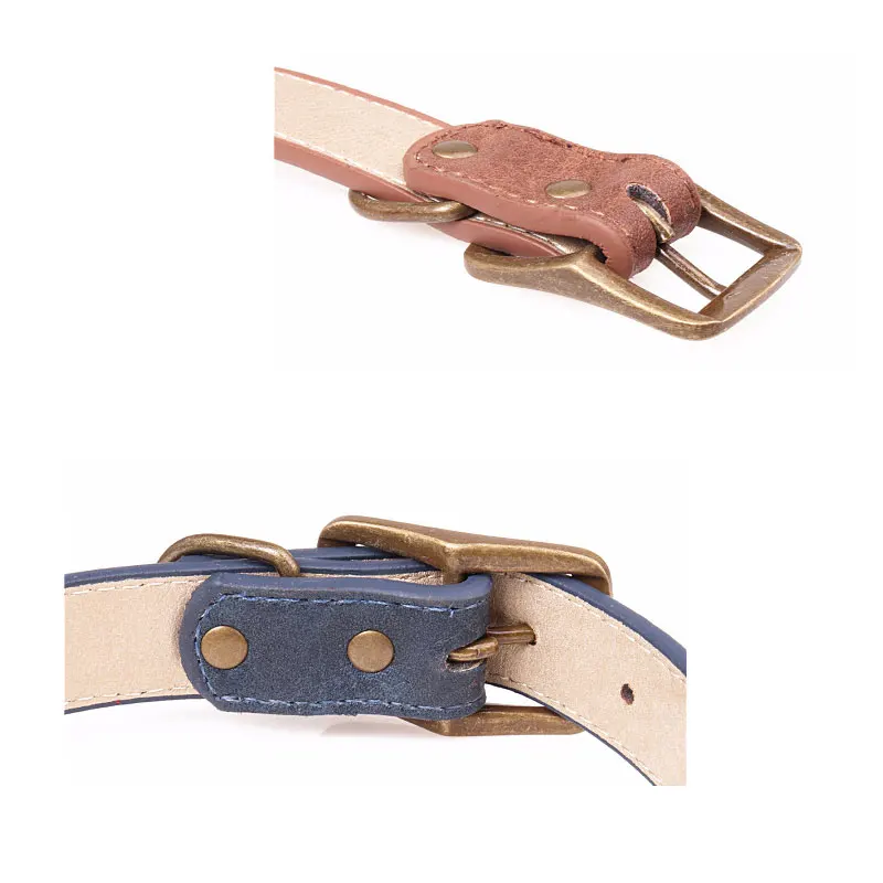 6 dog lead 