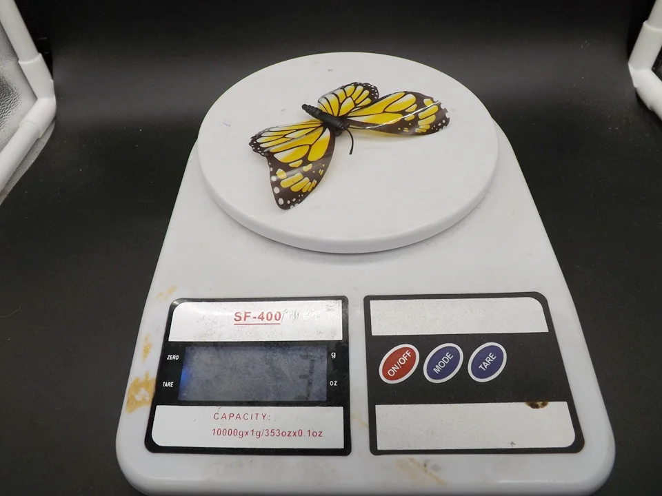 I271-Butterfly (13)