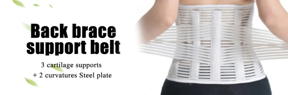 support belt