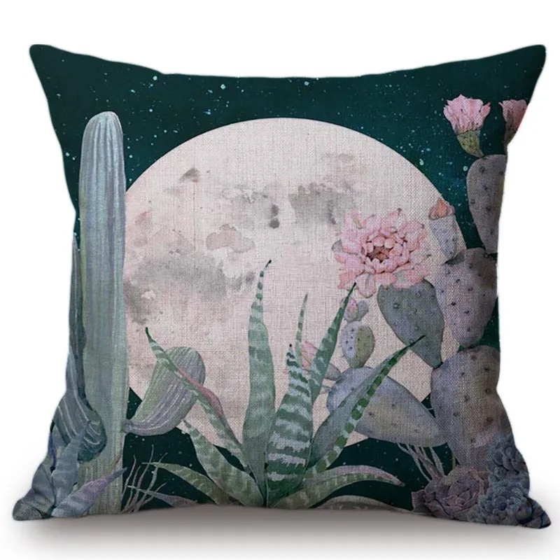 desert-succulent-aloe-vera-black-and-white-canvas 