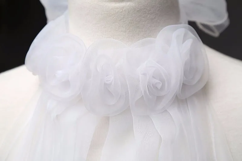 2692549287_1933995610