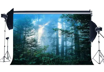 

Photography Backdrops Halloween Horror Night Mysterious Forest Sunshine Scene Masquerade Portraits Photo Background