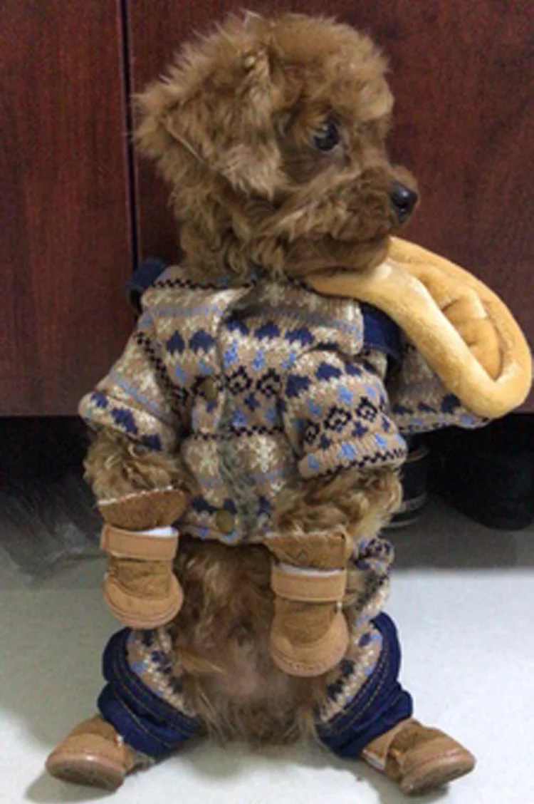 TB2eJDIhcbI8KJjy1zdXXbe1VXa_!!0-rate.jpg_400x400