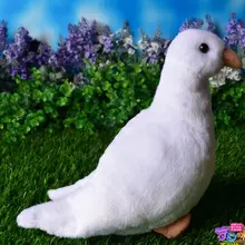 dove soft toy