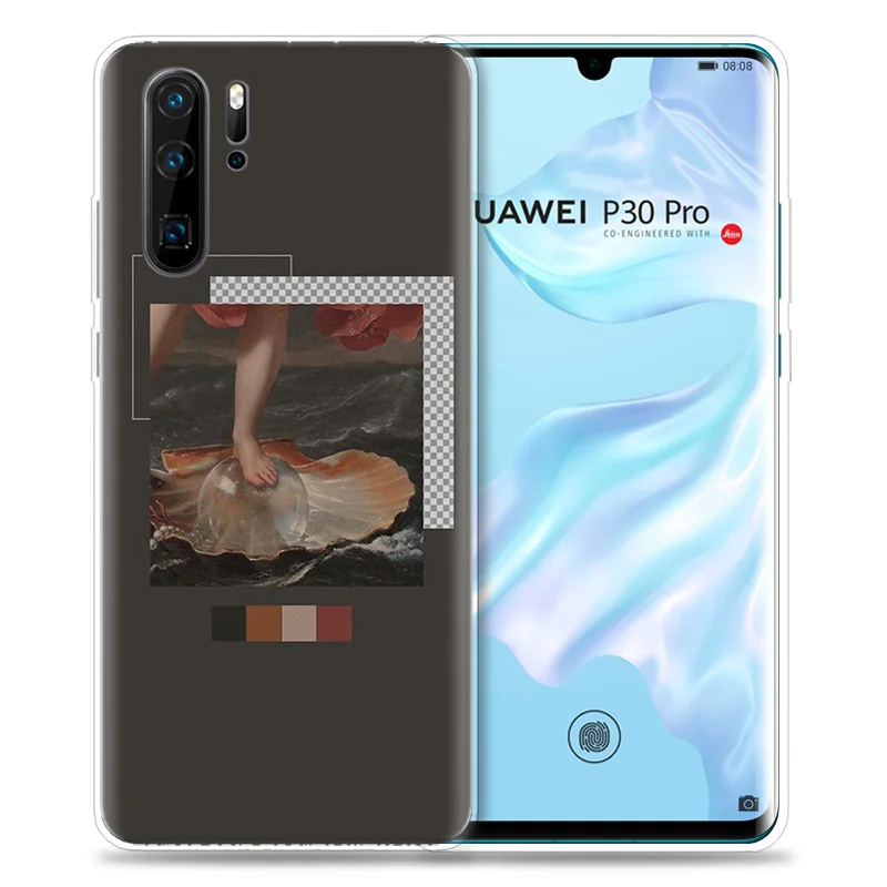 Чехол для huawei P30 P20 P10 P9 mate 10 20 Lite Pro сумка для мобильного телефона P Smart Z Plus Accent wall lockscreen art Tumblr P