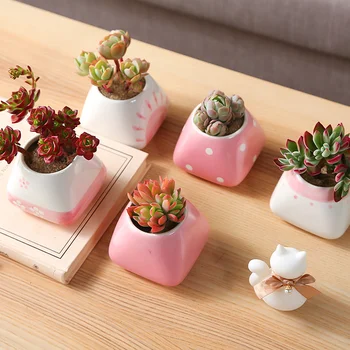 

Simple Ceramic Vase Cute Pink Succulent Flower Pot Desktop Decoration Living Room Garden Decoration