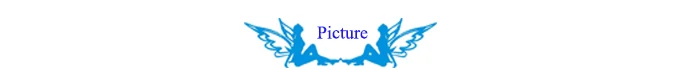 1.picture