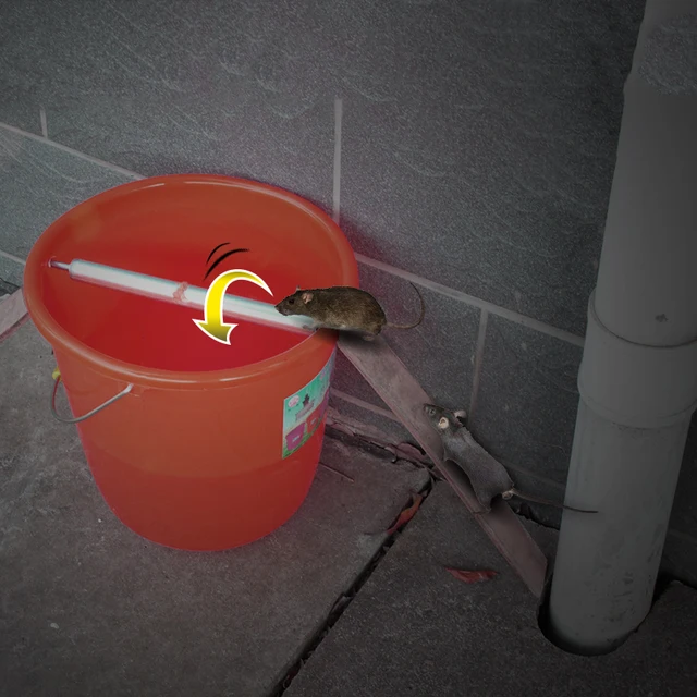 Buy Roll Bucket Mice Trap Rolling Rat Stick Trap Mouse