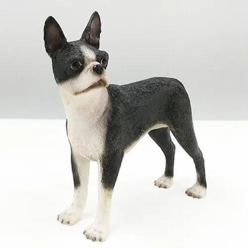 American BOSTON TERRIER dog figure 11