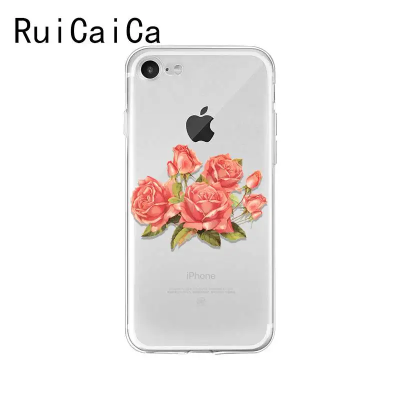 flower plant peony rose sunflower Lotus