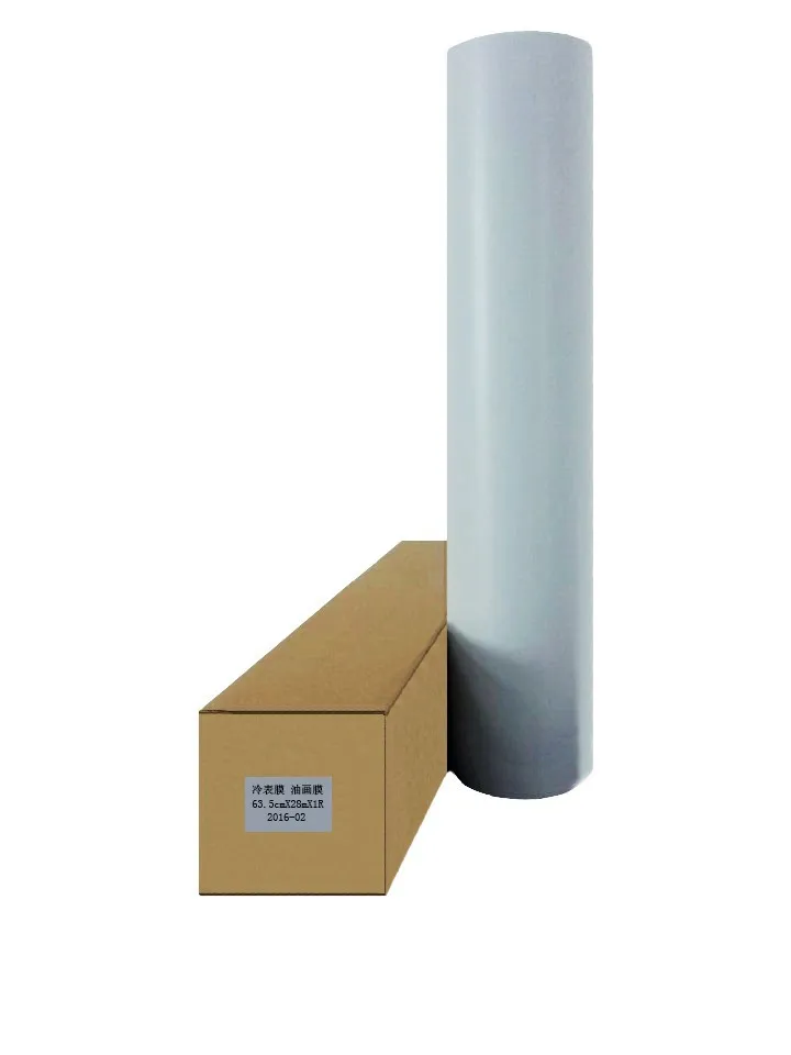 A4-3D-Cold-Laminating-Film-For-Photo (1)