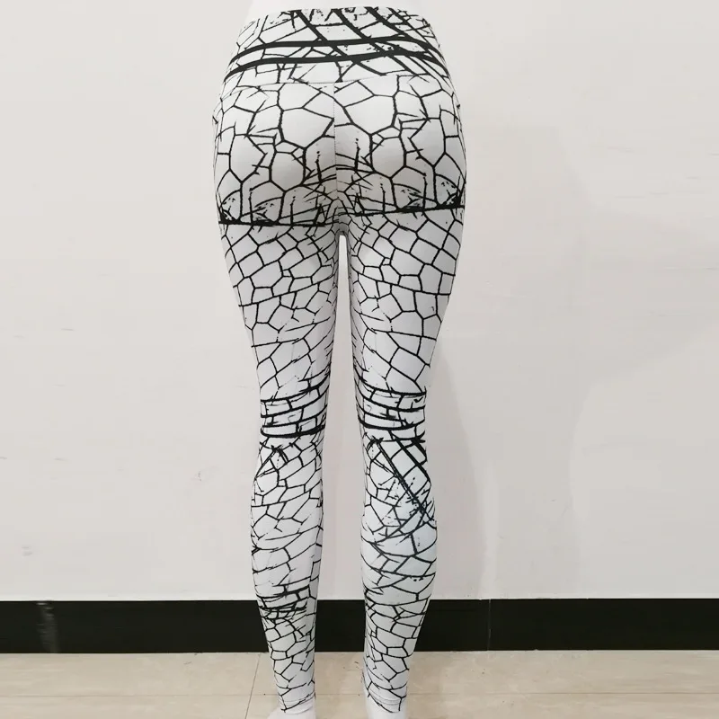 10271358546_1595654483