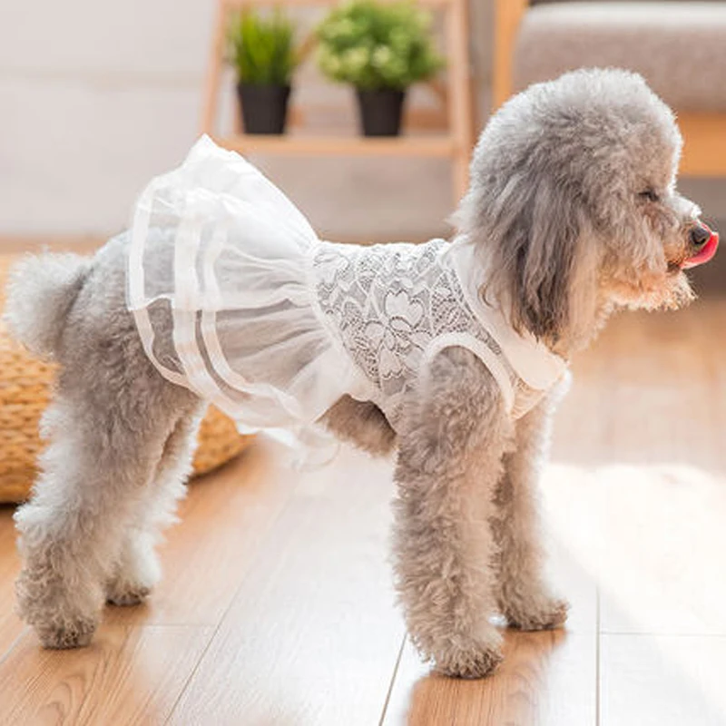 Одежда для собак, одежда для домашних животных, летняя одежда для маленьких собак, платье для собак с бабочкой, милая летняя юбка для собак, ropa perro