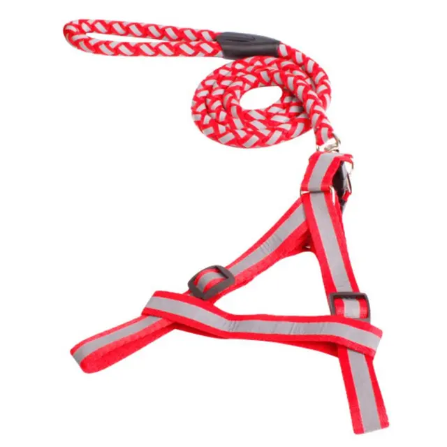 Buy Nylon pet dog leash Traction Rope Pet dog harness