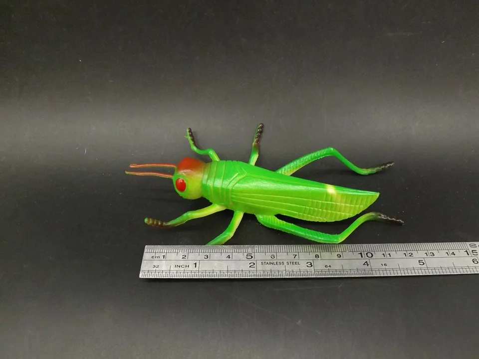 Green Grasshopper симуляция дикой природы модель животного познавательное обучение игра игрушка для детей развивающая обучающая игрушка затычки практичная шутка