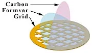 

Formvar/Carbon Film Coated on Hexagonal Copper Grids for TEM