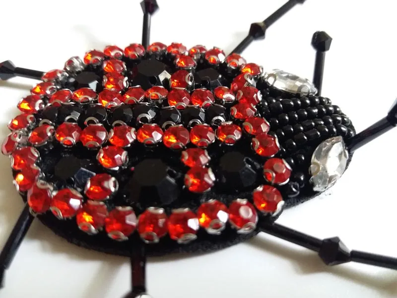 big ladybird 1