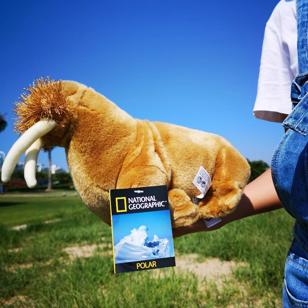 national geographic educational toys