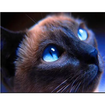 

5D Diy pintura diamante kits de ponto cruz gato home decoracao de parede 100% full broca de diamante diamond sticker W178