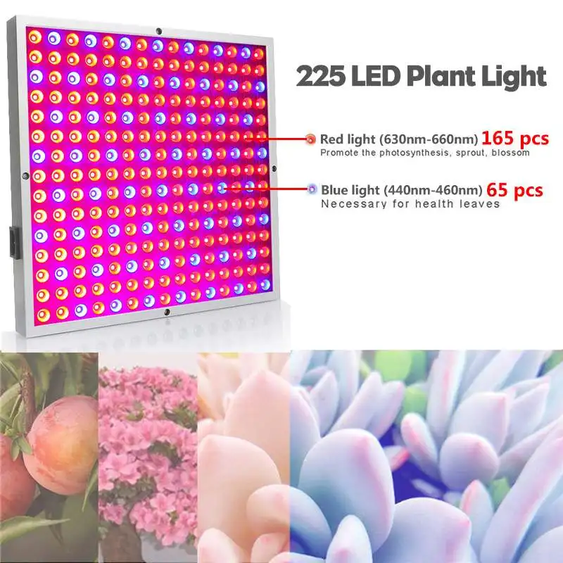 

80W Growing Lamps 225pcs LED Grow Light AC85-265V Full Spectrum Plant Lighting Flowers Seedling Cultivation IP55 US/UK/EU/AU